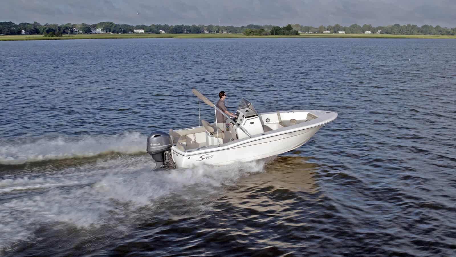 195 Sportfish marketing photo